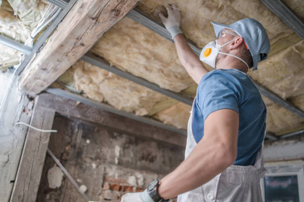 Best Residential Insulation in Northville, NY